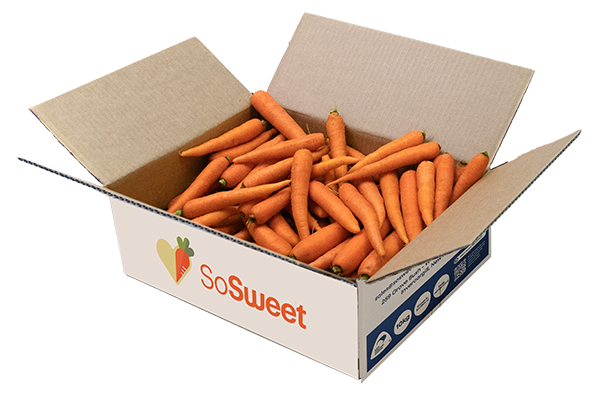 Buy organic carrots NZ fresh from Southland farm
