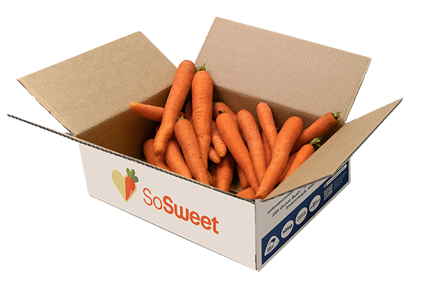 Organic juicing carrots NZ grown in Southland packed in 5kg box